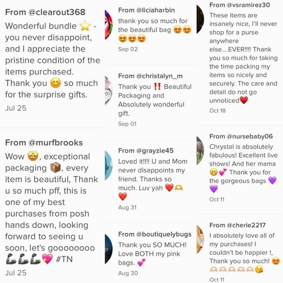 🎉CRYSTAL'S FAB FINDS IS GOING LIVE 10/14/25 3PM CST - A+ DESIGNER BAG BLOWOUT! - Picture 11 of 16